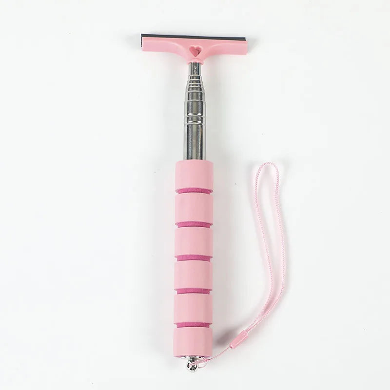 Telescopic Car Window & Mirror Wiper | Extendable Glass Cleaning Tool
